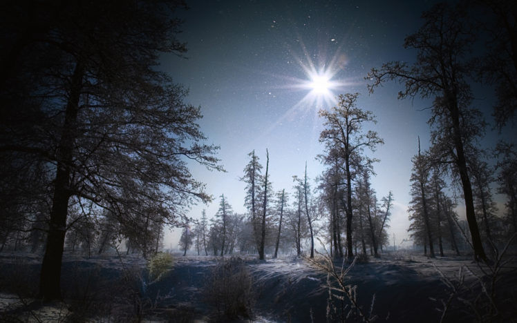 flakes, Winter, Snow, Night, Moon, Light, Landscapes, Trees, Forest HD Wallpaper Desktop Background