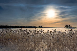 reeds, Nature, Landscapes, Lakes, Frozen, Ice, Sky, Clouds, Sunset, Sunrise, Winter