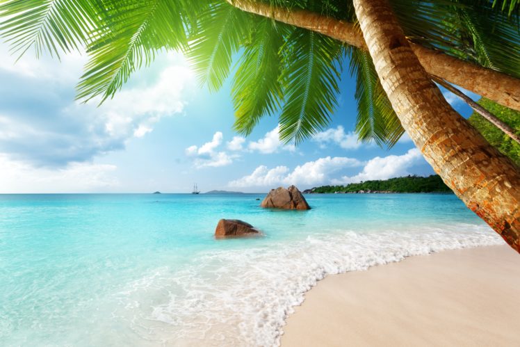 paradise, Ocean, Tropical, Blue, Palm, Beach, Coast, Sea, Emerald HD Wallpaper Desktop Background