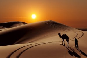 desert, Sand, Dunes, Camels, People, Sun