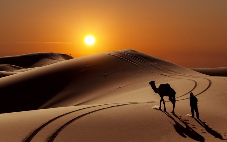 desert, Sand, Dunes, Camels, People, Sun HD Wallpaper Desktop Background