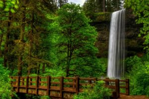 nature, View, Trees, Forest, Park, Bridge, Waterfall, Water, Landscape, Scener