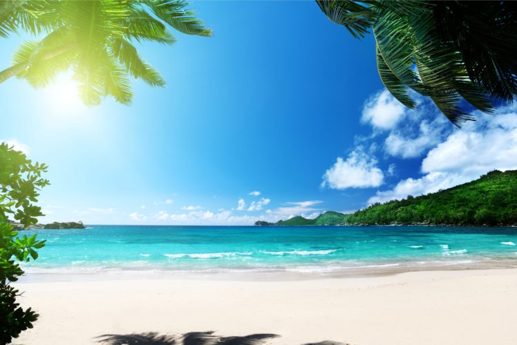 beach, Summer, Palms, Ocean, Tropical, Paradise, Sea, Sunshine HD Wallpaper Desktop Background