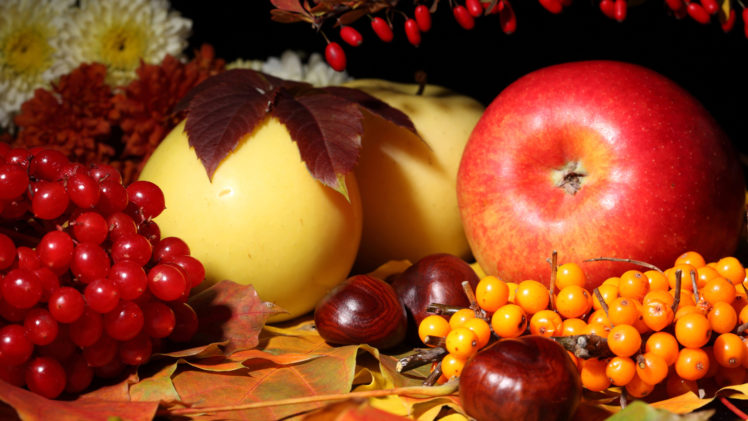 fruit, Still, Life, Apples, Berries, Berry, Nuts, Food, Leaves, Autumn, Fall HD Wallpaper Desktop Background