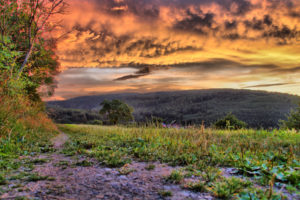 grass, Nature, Landscapes, Fields, Sky, Clouds, Roads, Trail, Path, Trees, Sunset, Sunrise, Hdr