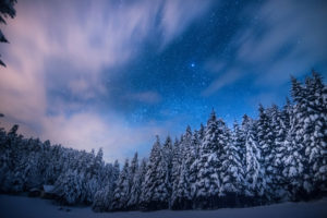 trees, Stars, Night, Snow, Winter, Forest, Sky, Clouds, Landscapes