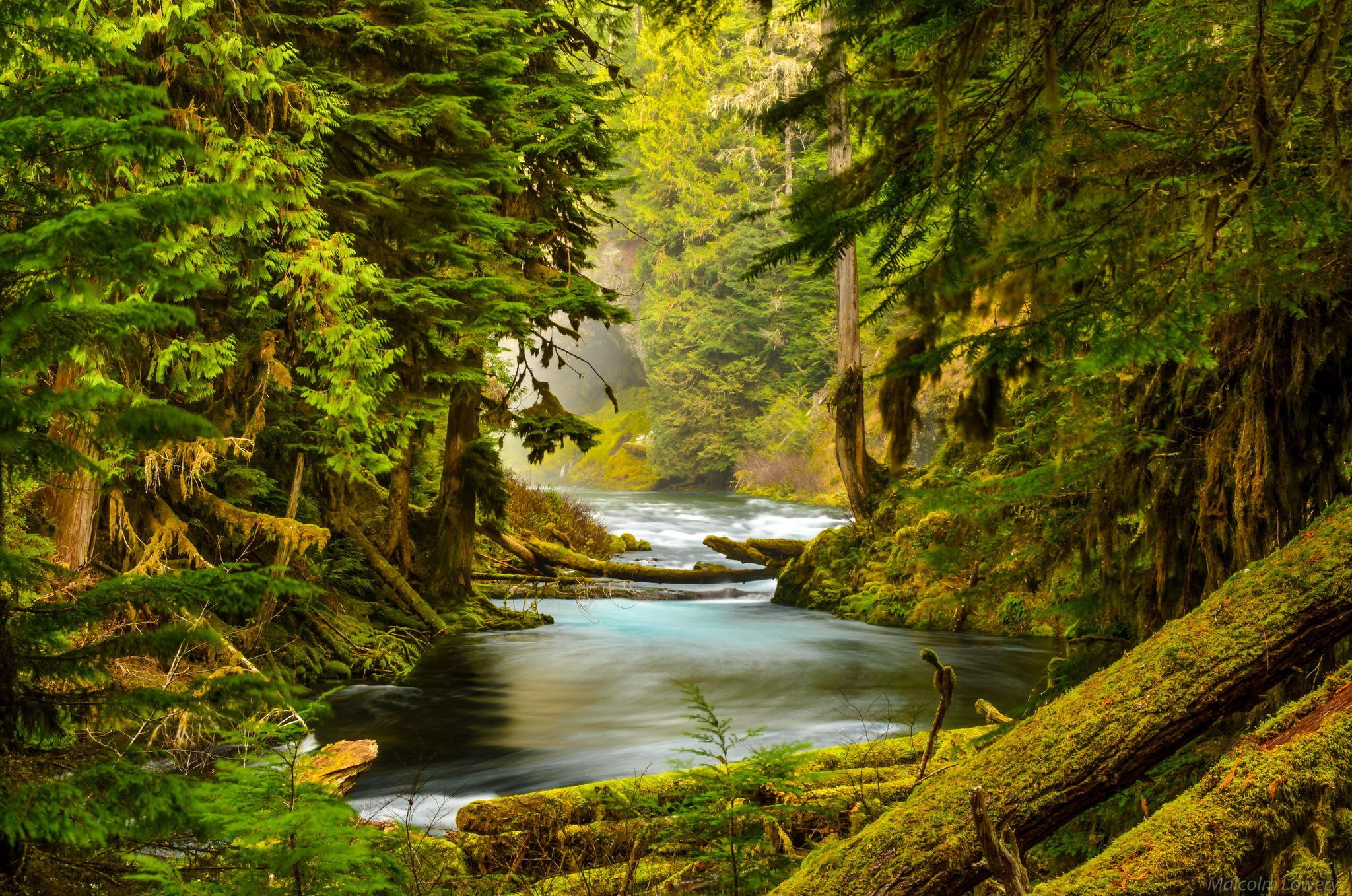 mckenzie, River, Oregon, Forest, River, Nature, Trees, Stones, Moss Wallpaper