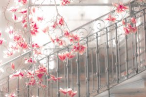 magnolia, Steps, Flowers, Blossoms, Mood, Stairs, Architecture