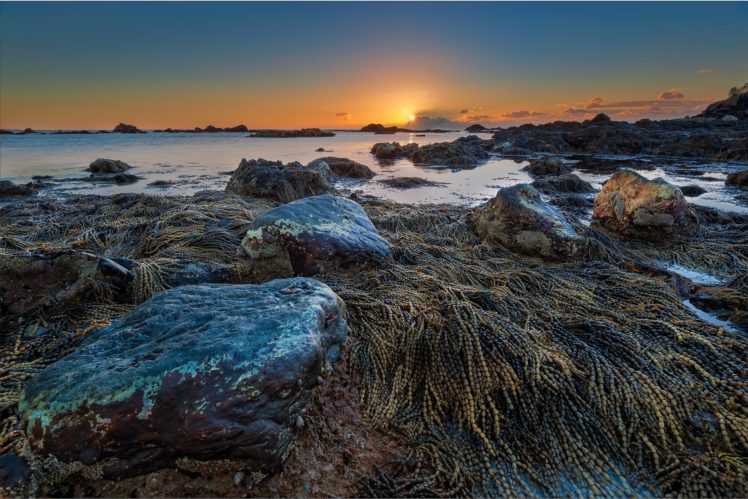 australia, Sunset, Landscape, Beach, Sea, Ocean HD Wallpaper Desktop Background