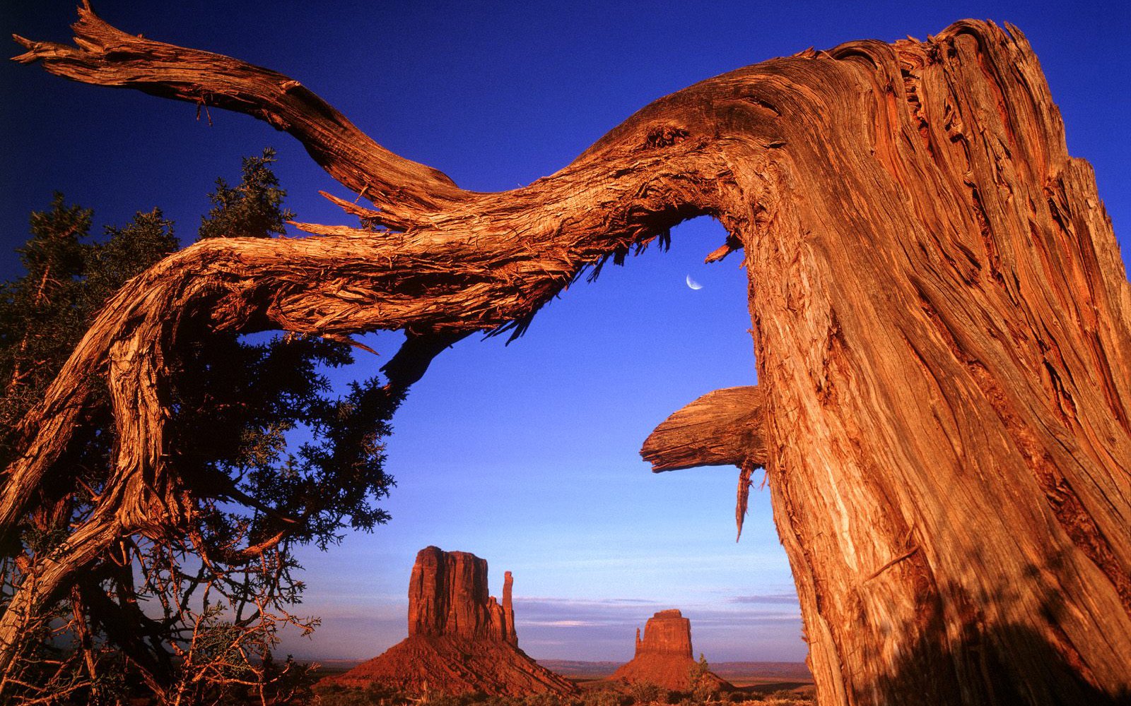 superpack, Beautiful, Nature, Hd, Wallpaper Wallpaper