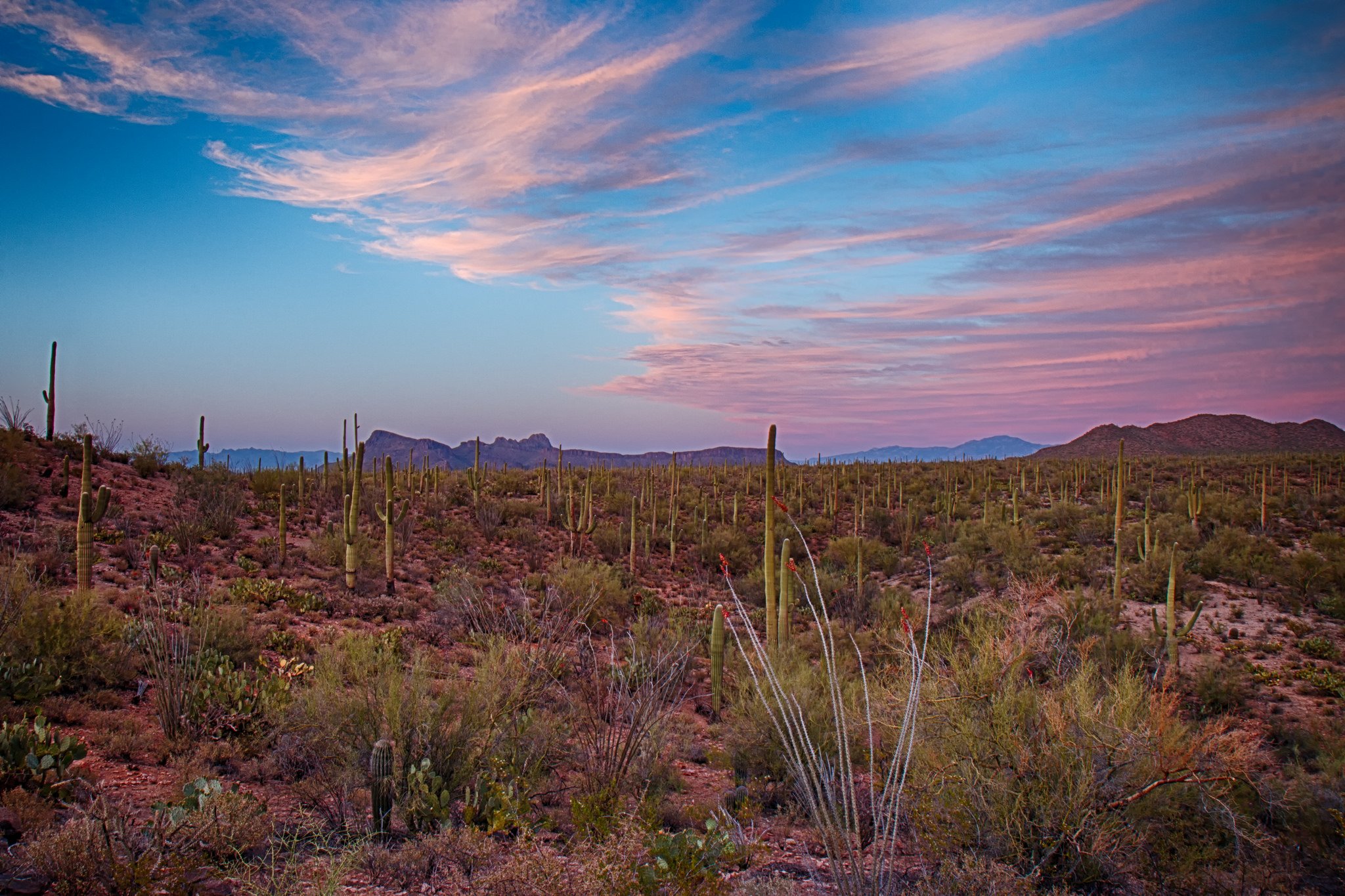 nature, Deserts, Wallpapers, Landscapes Wallpaper