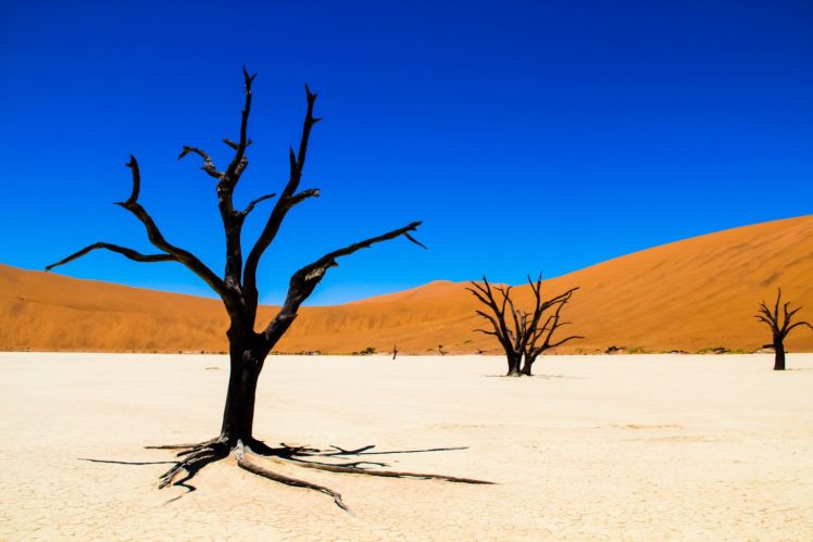 nature, Deserts, Wallpapers, Landscapes HD Wallpaper Desktop Background