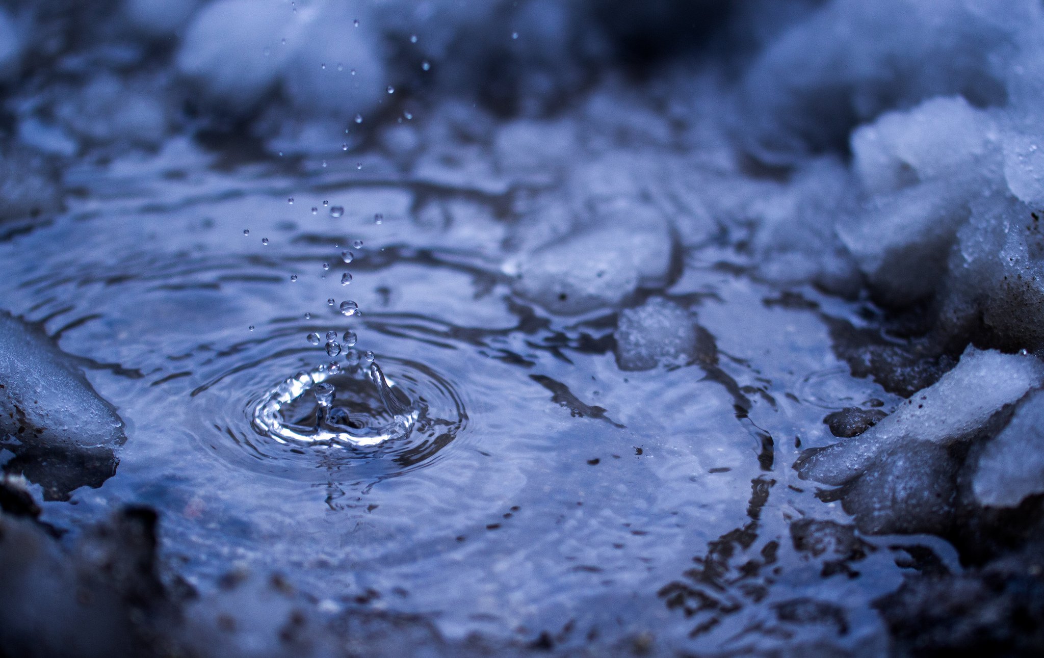 water, Drop, Macro, Nature, Macro, Zoom, Flowers, Gouttes, Pluie, Toile Wallpaper