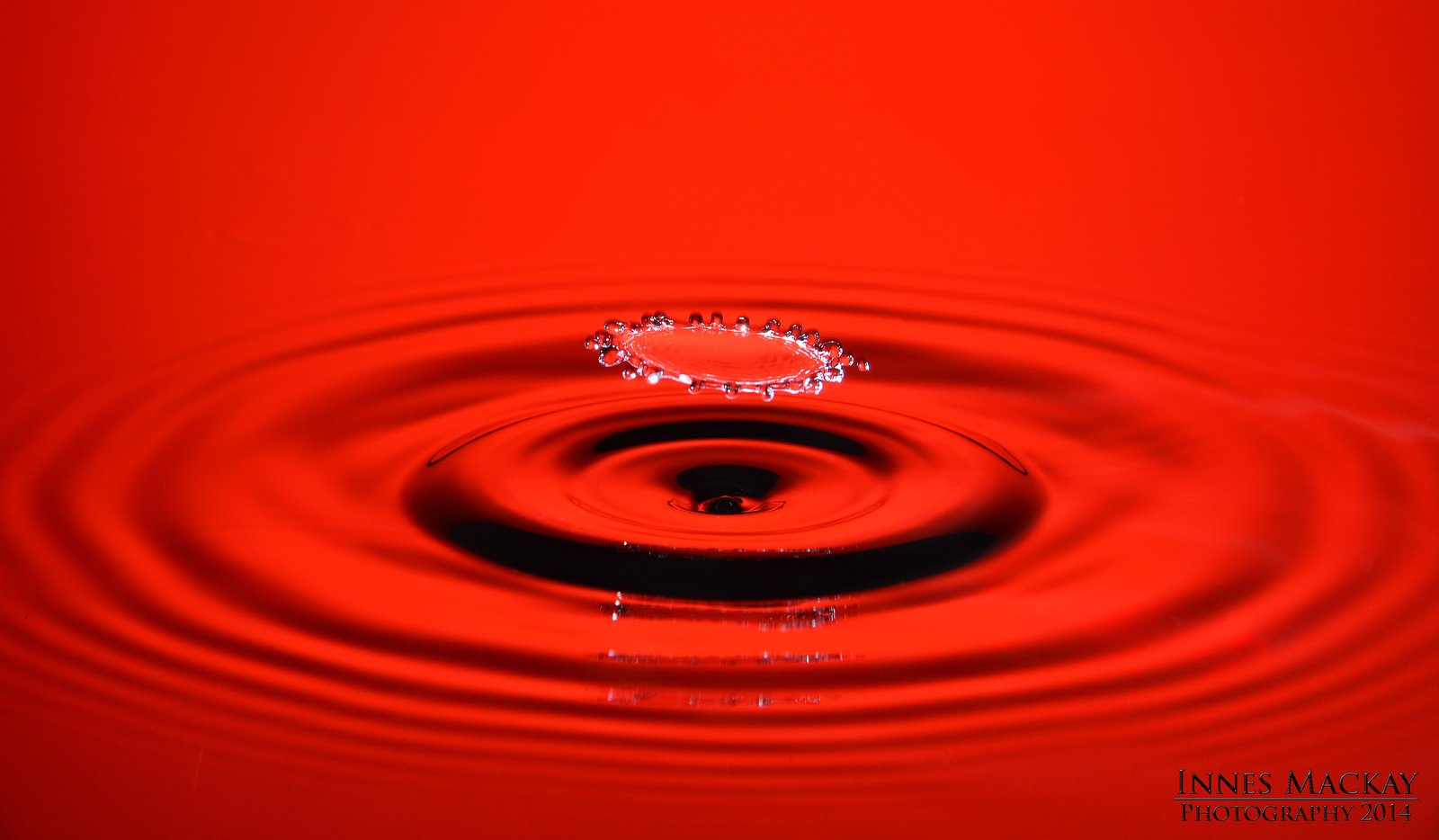 water, Drop, Macro, Nature, Macro, Zoom, Gouttes, Pluie Wallpaper