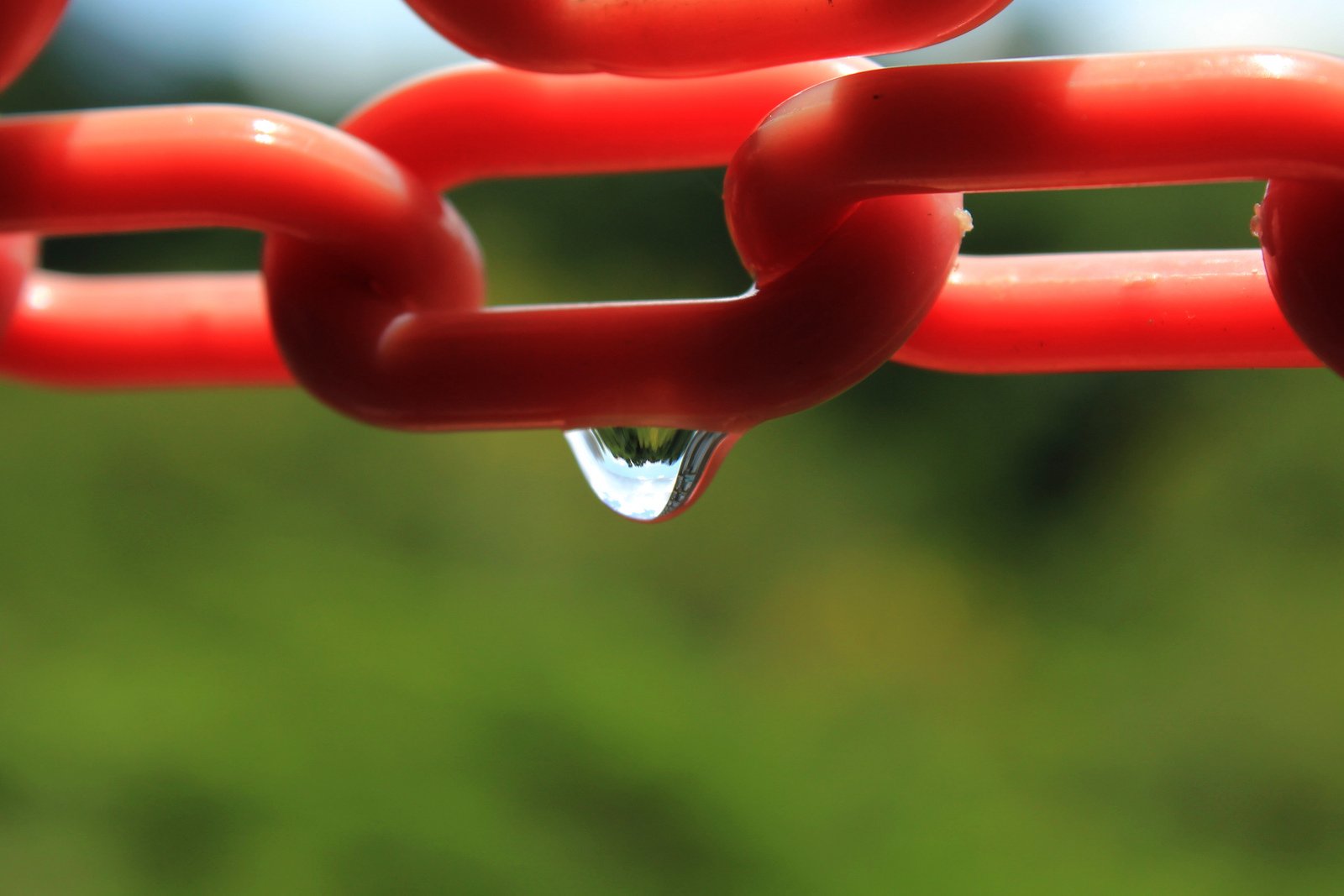 water, Drop, Macro, Nature, Macro, Zoom, Flowers, Gouttes, Pluie Wallpaper