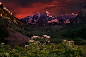 flowers, Clouds, Sunset, Clouds, Lake, Mountains, Reflection, Forest, Maroon, Bells, Colorado, Maroon, Lake