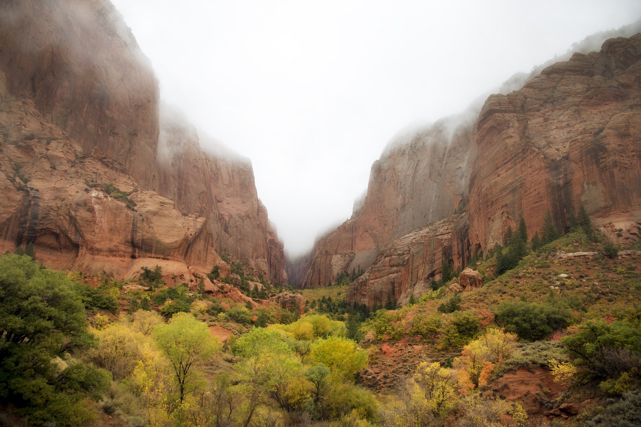 mountains, Trees, Landscape, Utah, United, States, Zion, National, Park, Utah, Desert Wallpaper