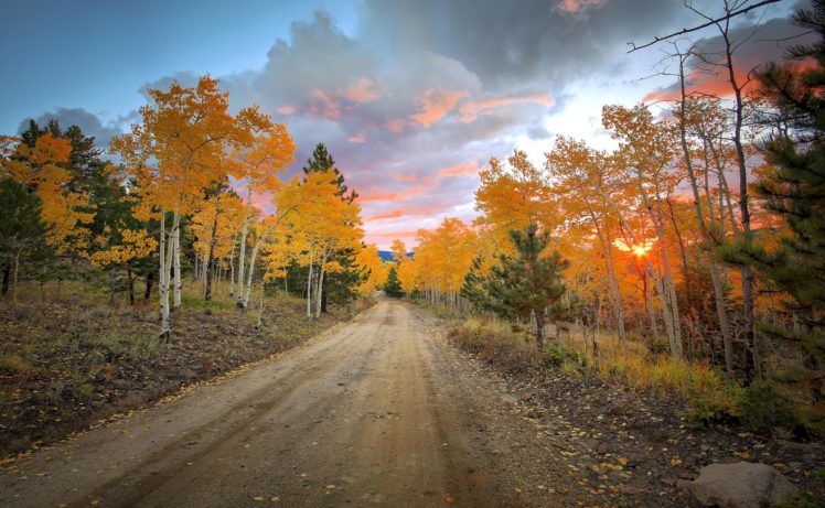 road, Forest, Trees, Autumn, Colorado, Colorado, United, States HD Wallpaper Desktop Background