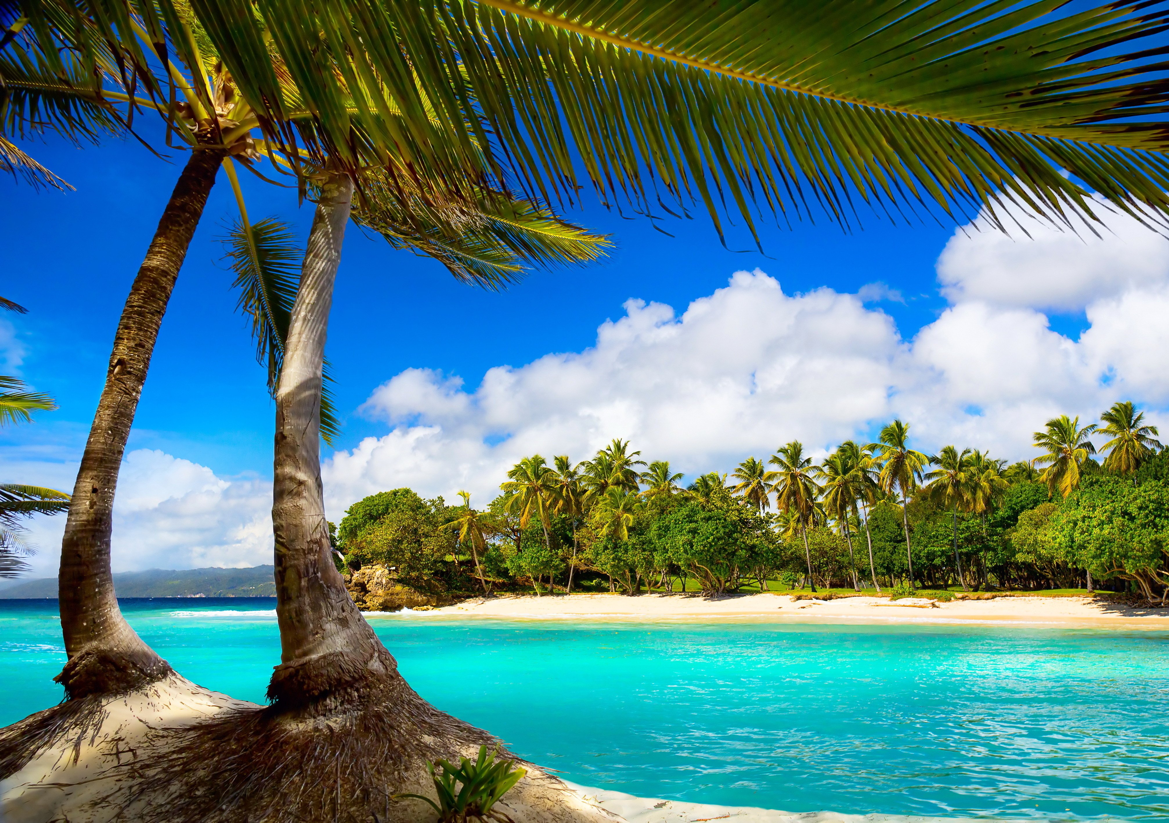 vacation, Beach, Summer, Tropical, Sea, Palms, Paradise, Ocean Wallpaper