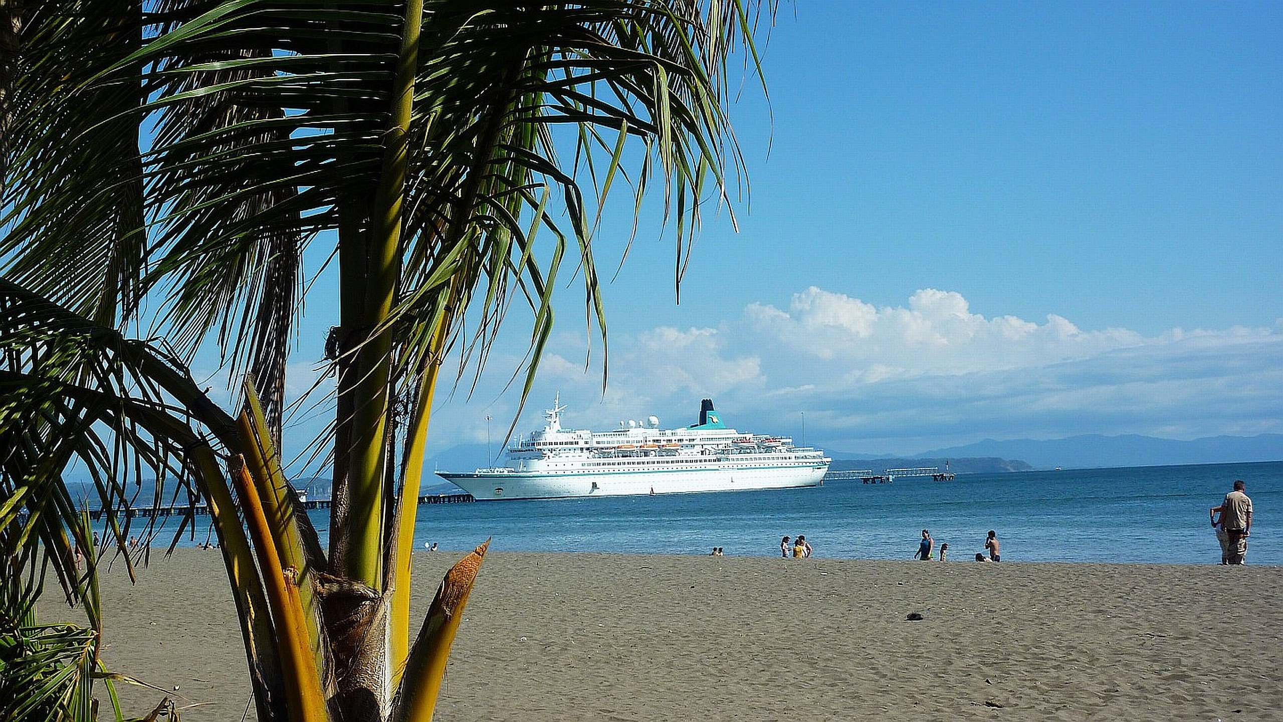 mv, Albatros, Costa, Rica Wallpaper