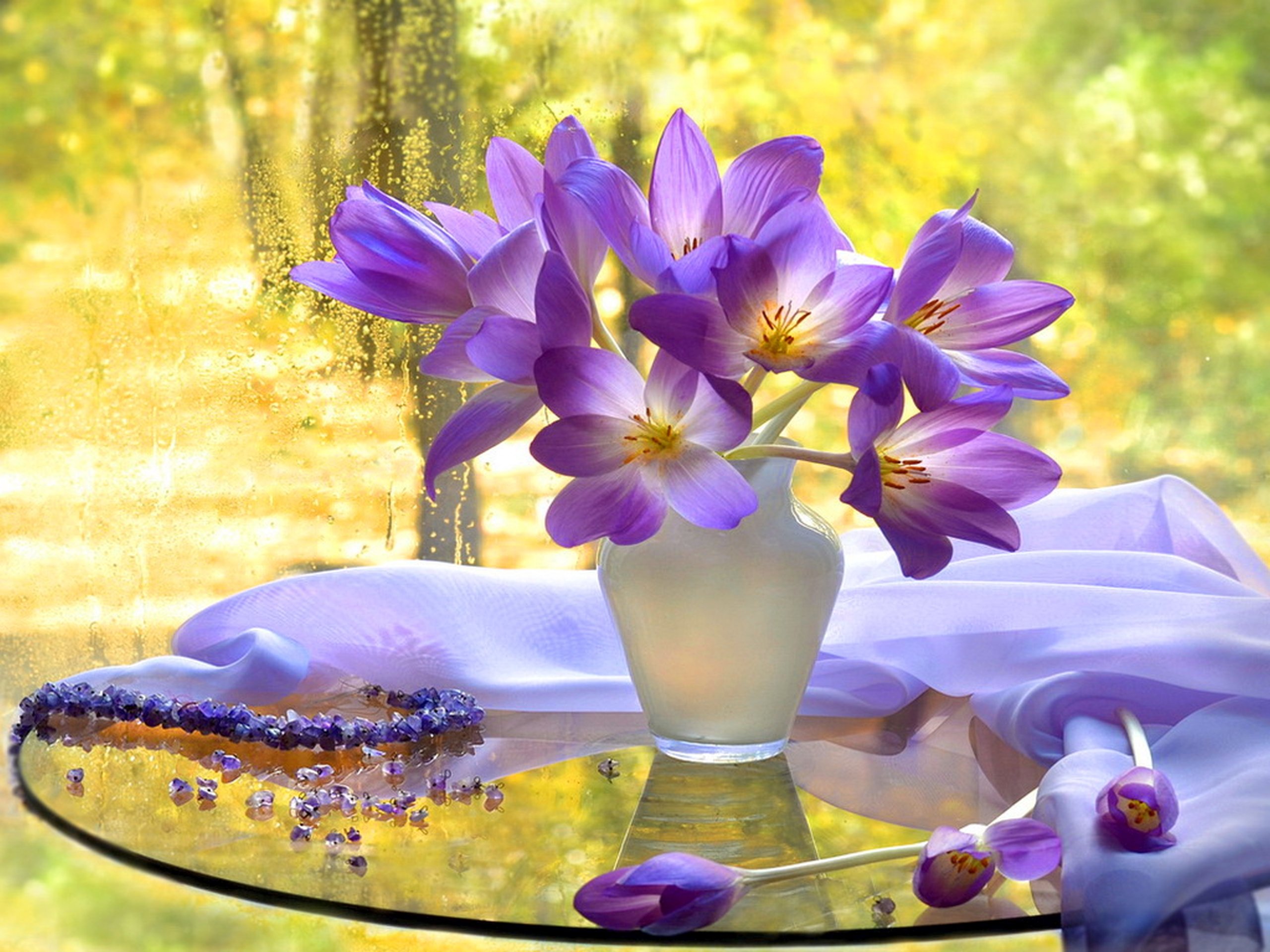 beautiful, Flowers, Autumn, Tender, View, Delicate ...