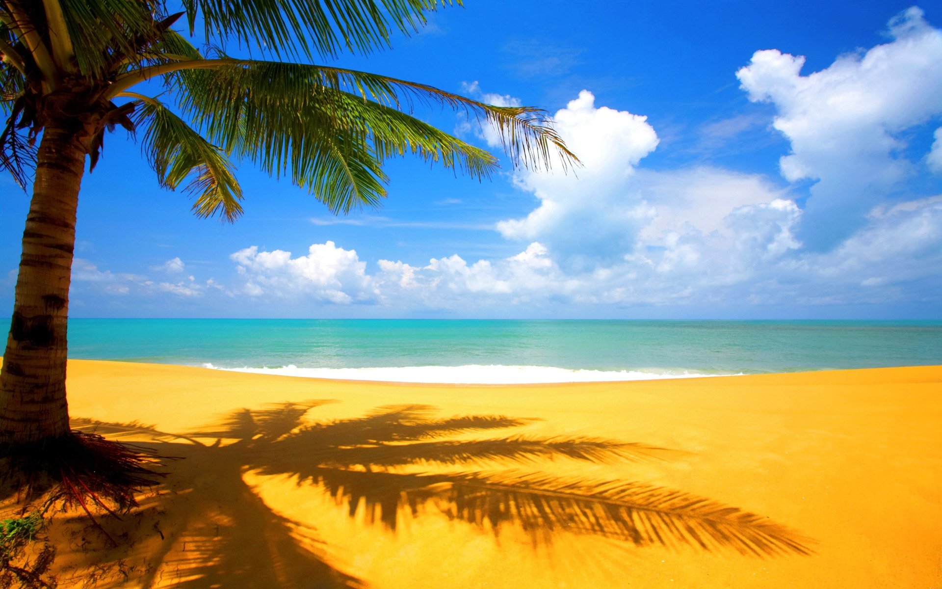 beach Wallpaper