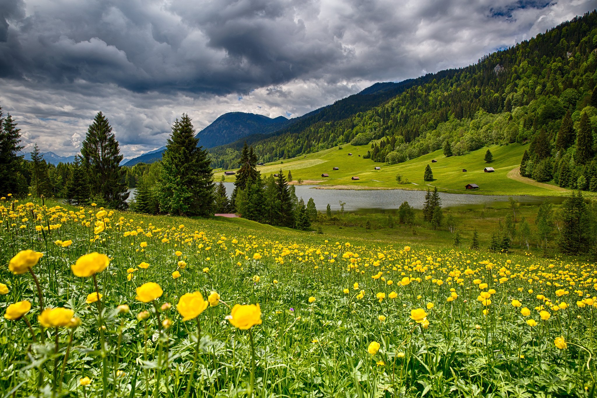 bavaria, Germany, Bayern, Germany, Meadow, Flowers, Lake, Forest, Valley, Landscape Wallpaper