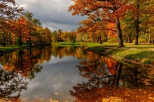 trees, River, Forest, Leaves, Clouds, Park, Water, Sky, Nature, Autumn, Reflection