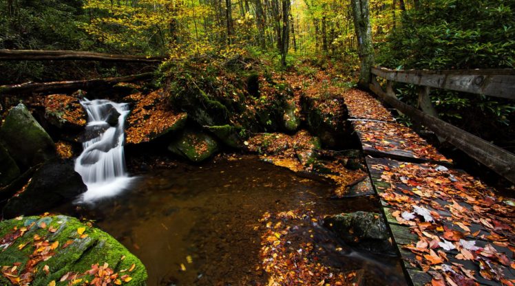 north, Carolina, Nantahala, National, Forest, Autumn, Bridge, River, Waterfall HD Wallpaper Desktop Background