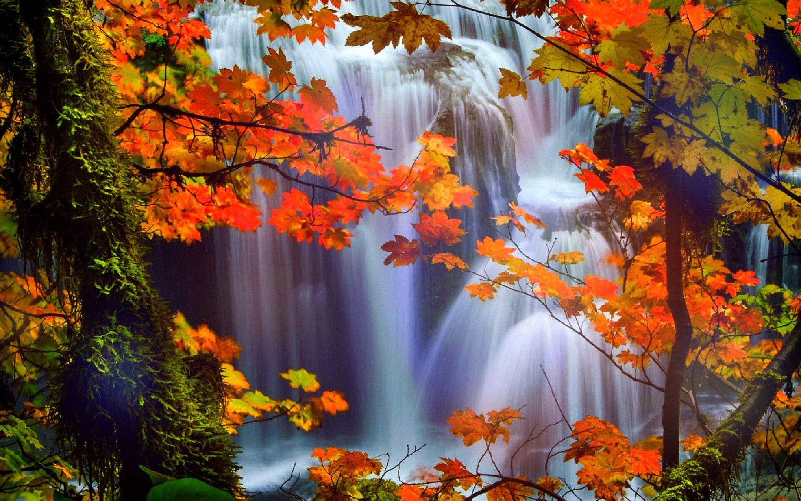 attractions, In, Dreams, Trees, Nature, Fall, Leaves, Beautiful, Waterfalls, Scenery, Love, Four, Seasons, Creative, Pre made, Colors, Stunning, Falls, Landscapes, Autumn Wallpaper