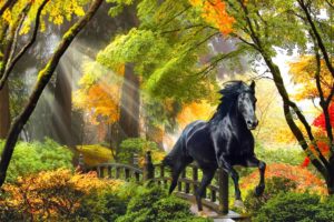 fall, Rays, Horse, Beautiful, Trees, Art, Enchanted, Bridge, Magical, Colors, Forest, Run, Glow, Autumn, Painting