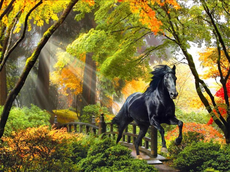 fall, Rays, Horse, Beautiful, Trees, Art, Enchanted, Bridge, Magical, Colors, Forest, Run, Glow, Autumn, Painting HD Wallpaper Desktop Background