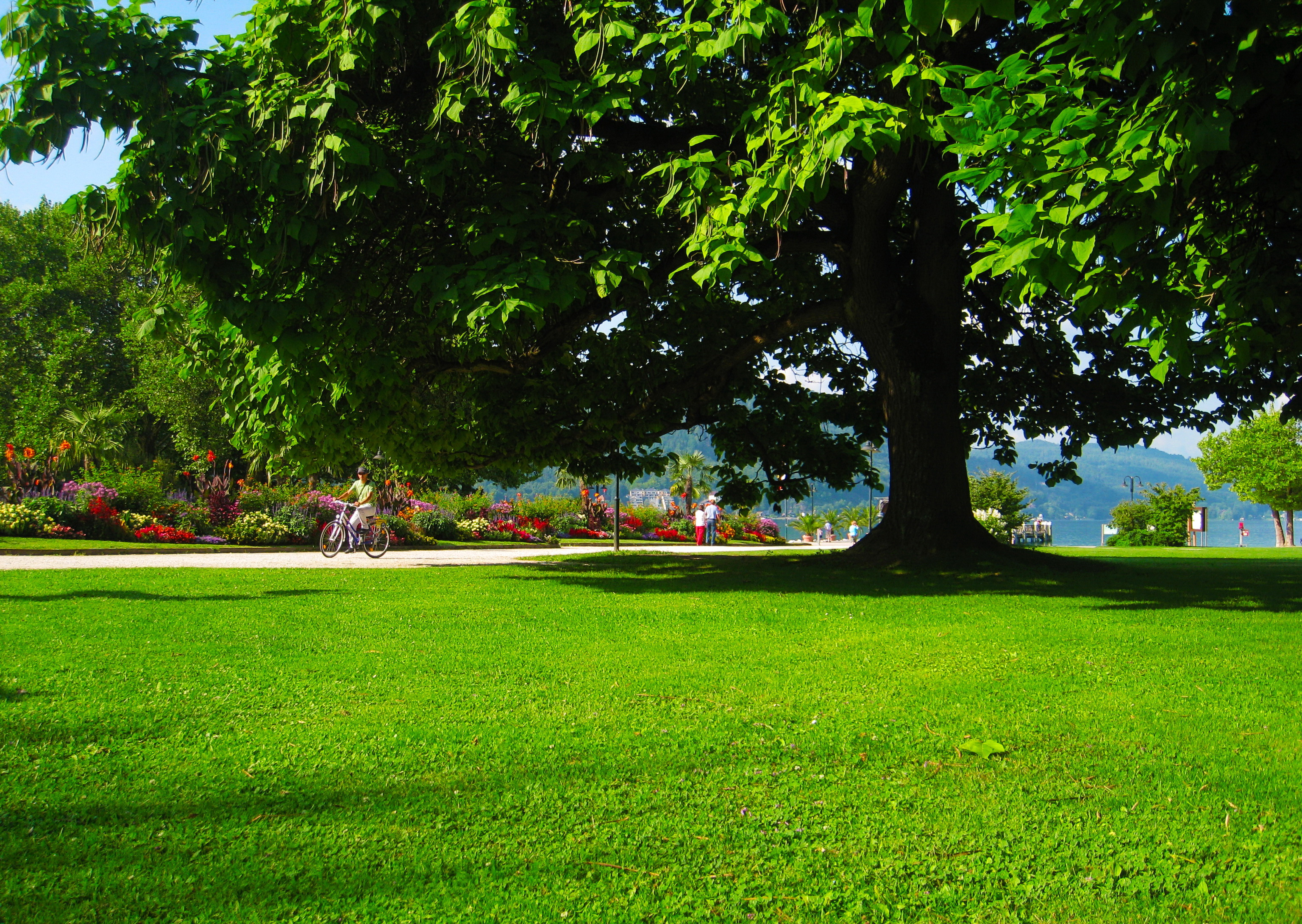 parks, Austria, Carinthia, Klagenfurt, Grass, Trees, Green, Foliage, Nature Wallpaper