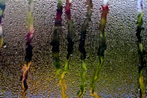 rain, Glass, Window, Water, Drops, Streams