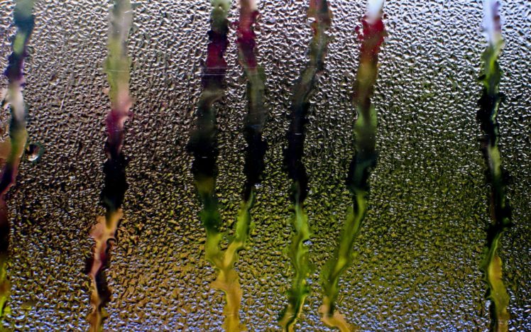 rain, Glass, Window, Water, Drops, Streams HD Wallpaper Desktop Background