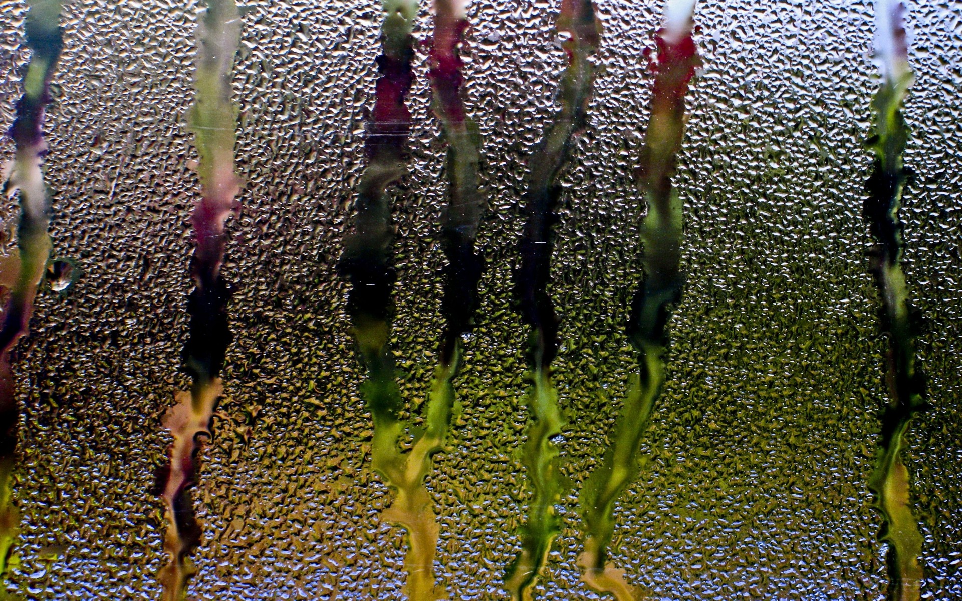 rain, Glass, Window, Water, Drops, Streams Wallpaper