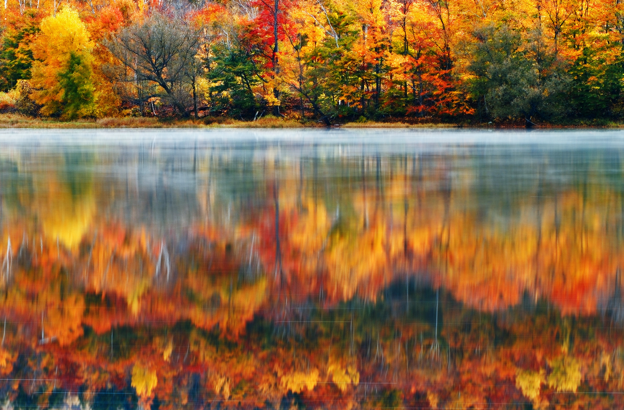 usa, New, England, New, Hampshire, Nature, Morning, Lake, Wood, Paint, Klaus, Brandstaetter, Photography, Trees, Autumn, Fall, Reflection Wallpaper