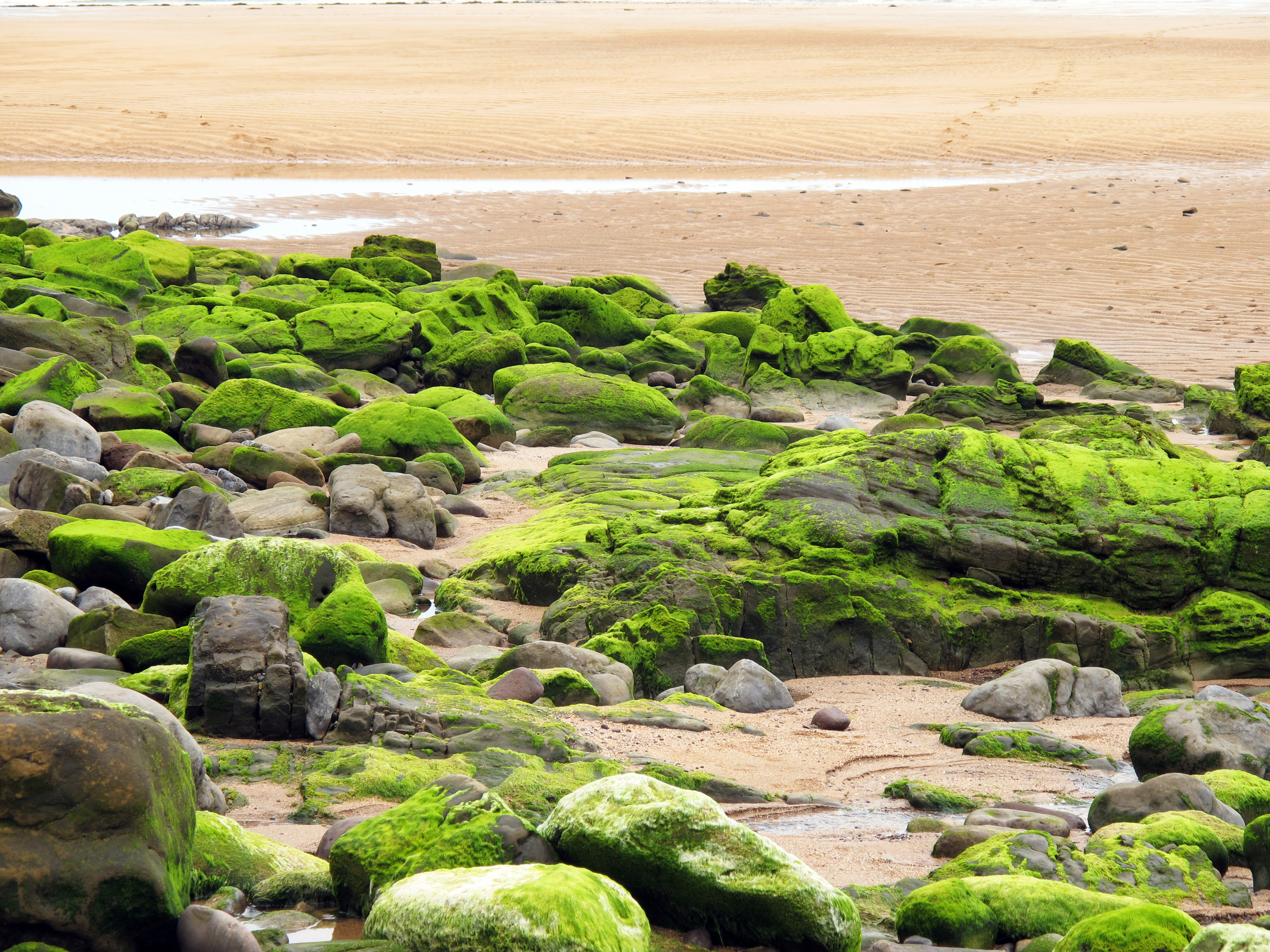 green, Rocks Wallpaper