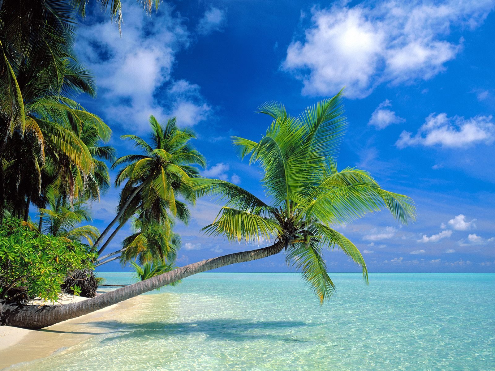 beach, Nature, Sea, Ocean, Sky, Blue, Exotic Wallpaper