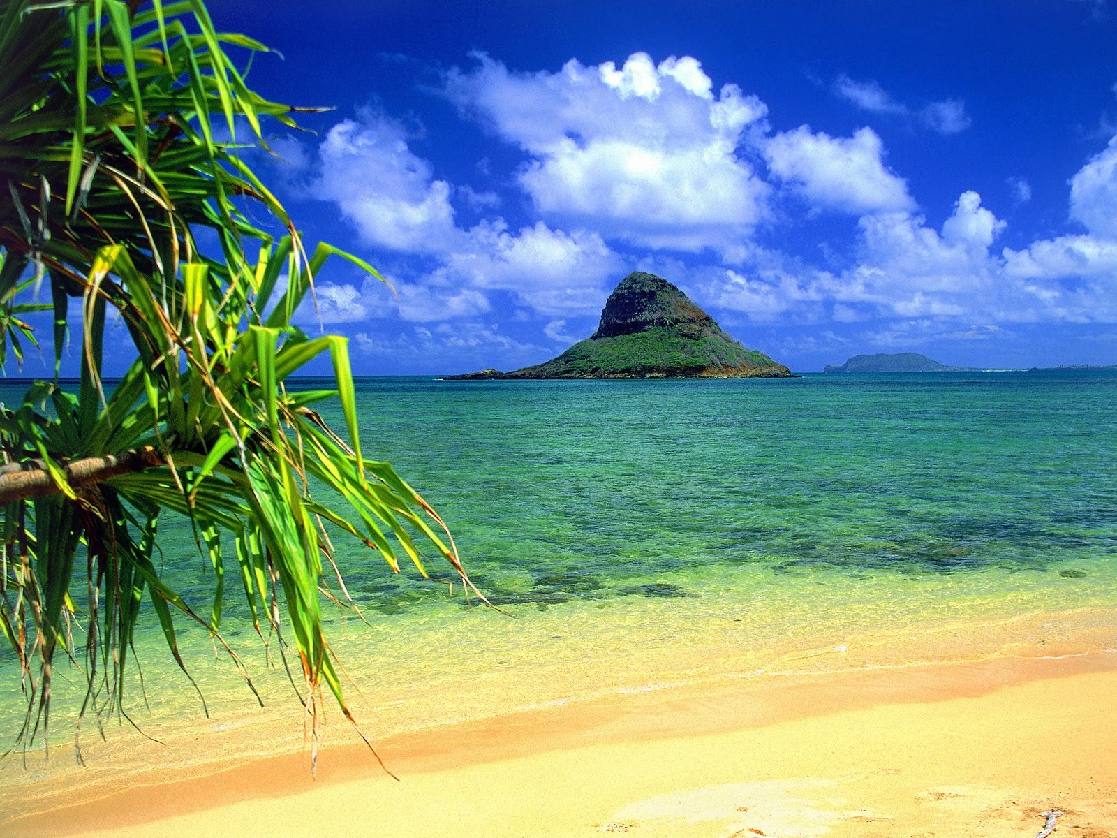 beach, Nature, Sea, Ocean, Sky, Blue, Exotic Wallpapers HD ...