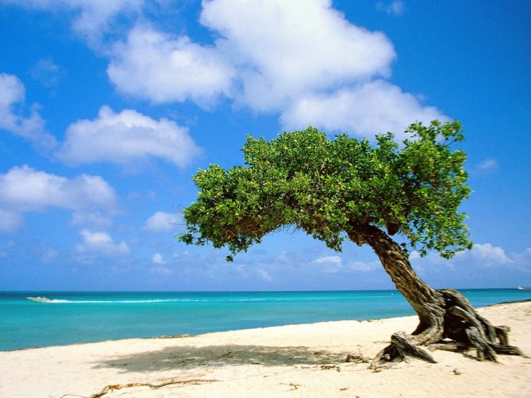 beach, Nature, Sea, Ocean, Sky, Blue, Exotic HD Wallpaper Desktop Background