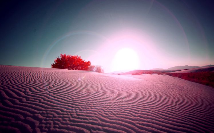 desert, Flare, Red, Desert HD Wallpaper Desktop Background