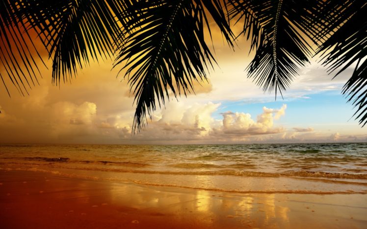 nature, Landscape, Sky, Clouds, Sunset, Sand, Beach, Reflection, Ocean, Trees HD Wallpaper Desktop Background