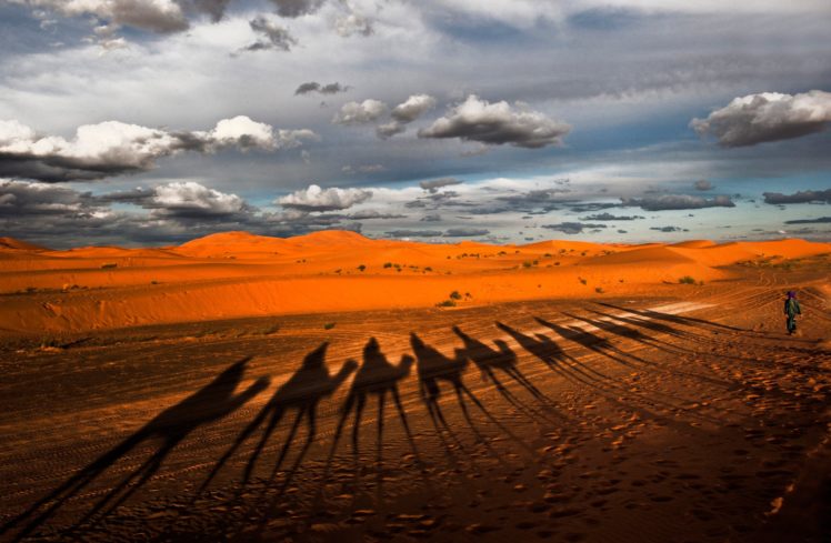 camel, Shadow, Silhouette, Desert HD Wallpaper Desktop Background