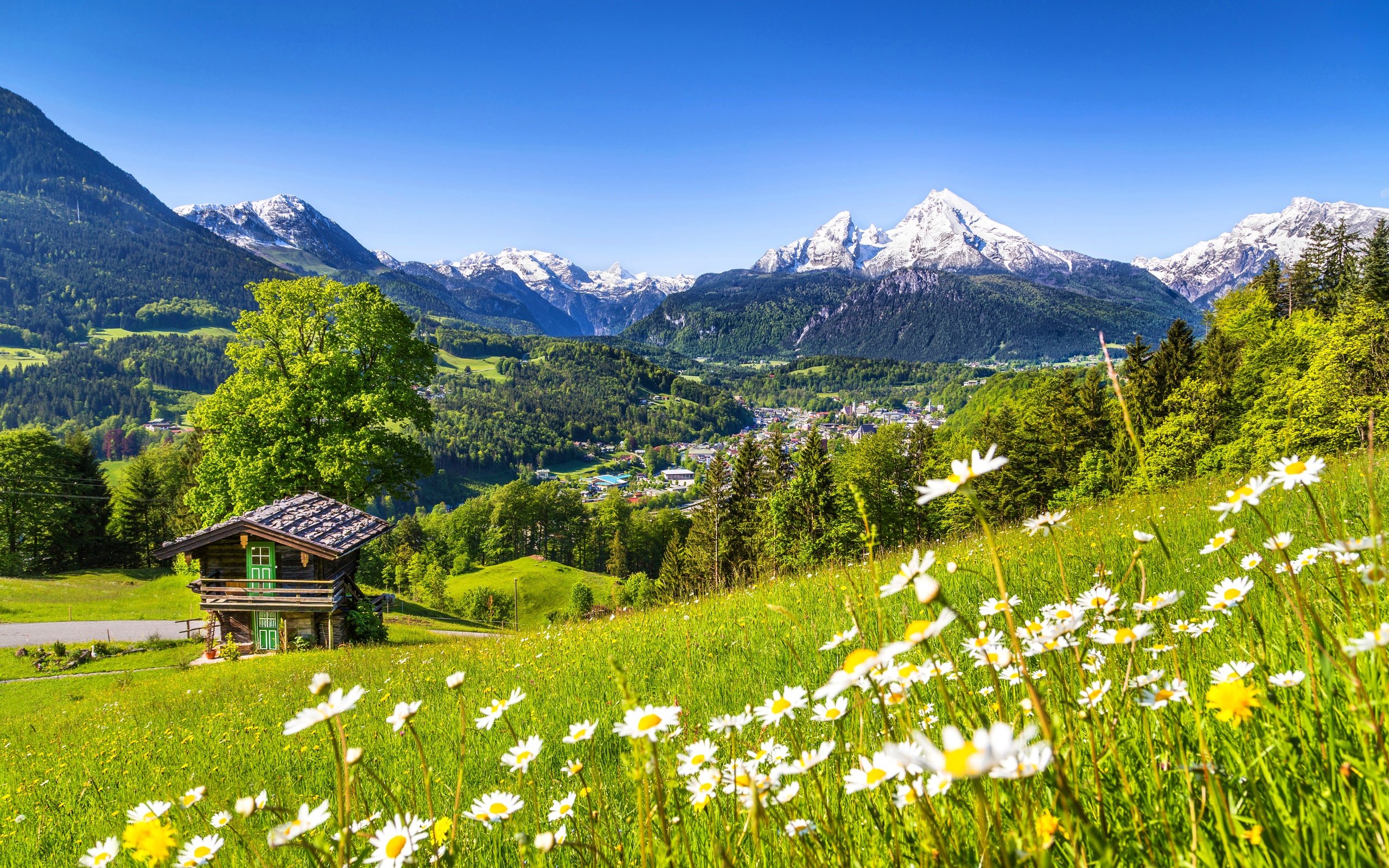 house, Road, Rock, Spring, Path, Forest, Mountain, Sky, Trees, Nature Wallpaper