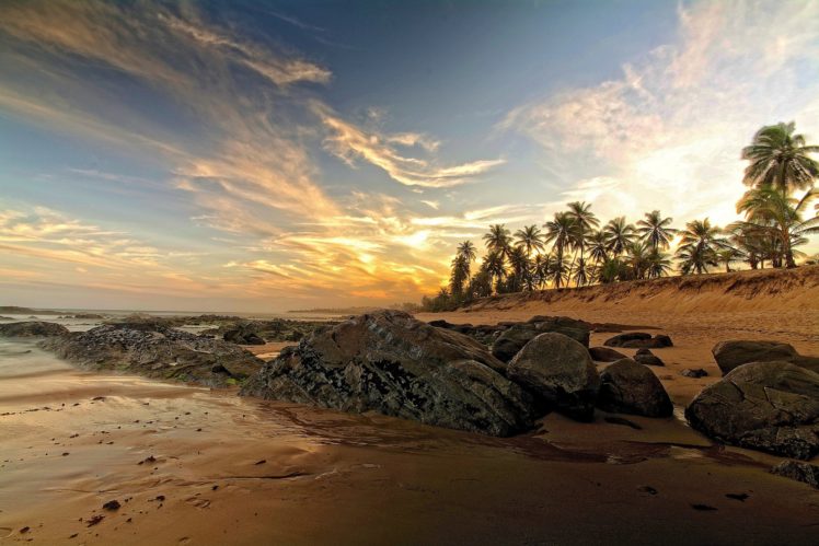 stones, Palm, Trees, Beach, Sand, Sea HD Wallpaper Desktop Background