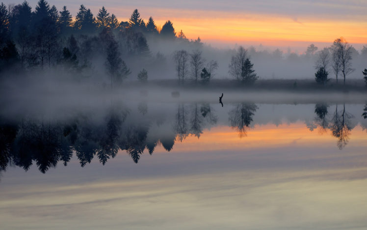morning, Pond, Forest, Mist, Smooth, Surface, Lake, Sunrise, Trees, Fog, Sky, Shore, Reflection HD Wallpaper Desktop Background