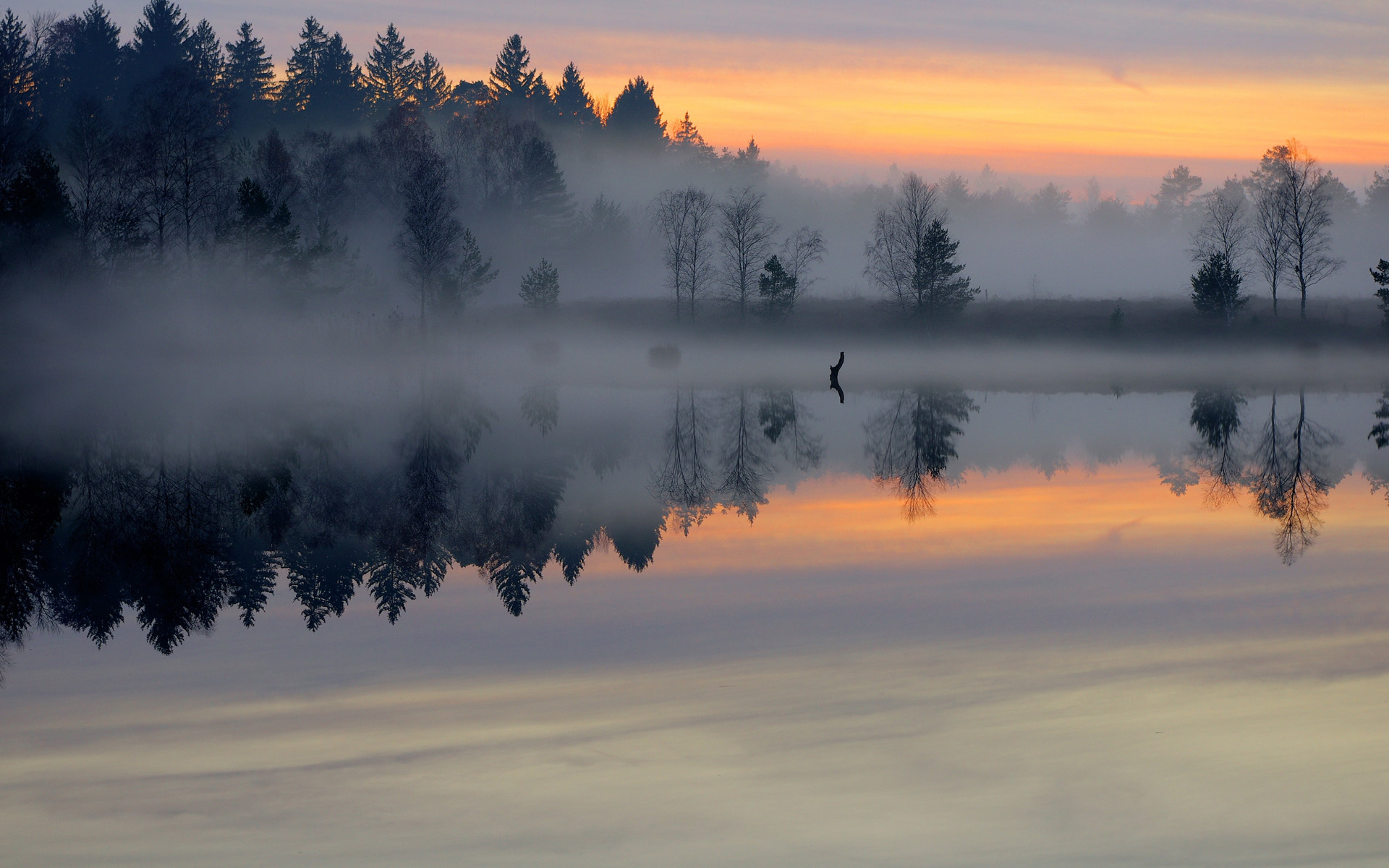 morning, Pond, Forest, Mist, Smooth, Surface, Lake, Sunrise, Trees, Fog, Sky, Shore, Reflection Wallpaper