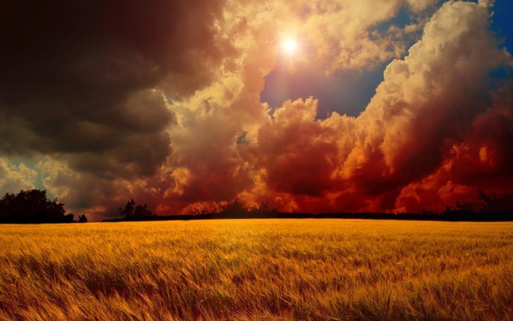 landscape, Cloud, Sky, Sun, Manipulation, Cgi, Digital, Art, Field, Wheat HD Wallpaper Desktop Background