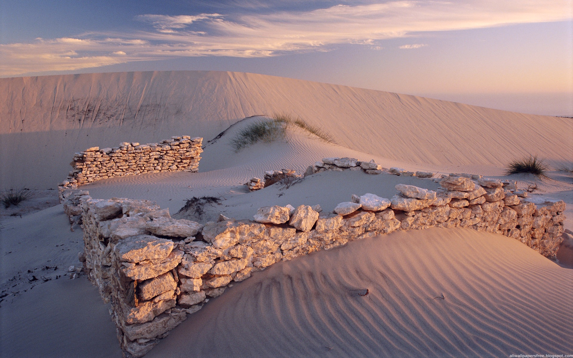 desert Wallpaper